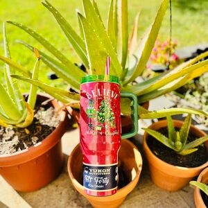 Tumbler 40 oz believe in the magic of Christmas Buc-ee’s NWT